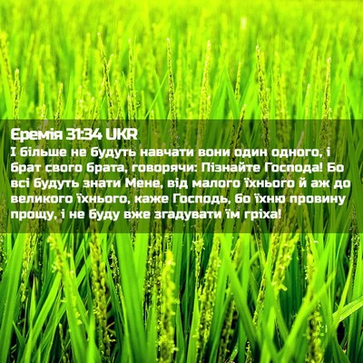 Picture 02 - Єремія 31:34 UKR - І більше не будуть навчати - Bible Verse Picture