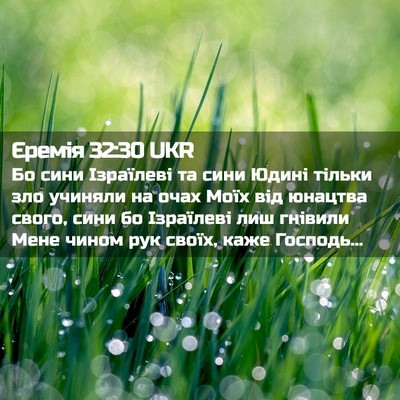 Picture 02 - Єремія 32:30 UKR - Бо сини Ізраїлеві та сини - Bible Verse Picture