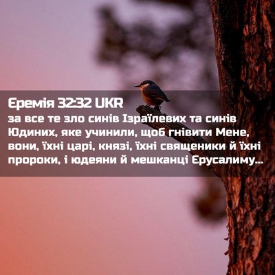 Picture 02 - Єремія 32:32 UKR - за все те зло синів - Bible Verse Picture