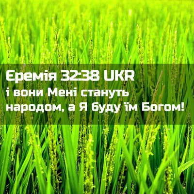 Picture 02 - Єремія 32:38 UKR - і вони Мені стануть - Bible Verse Picture