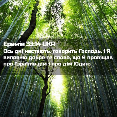 Picture 02 - Єремія 33:14 UKR - Ось дні настають, говорить - Bible Verse Picture