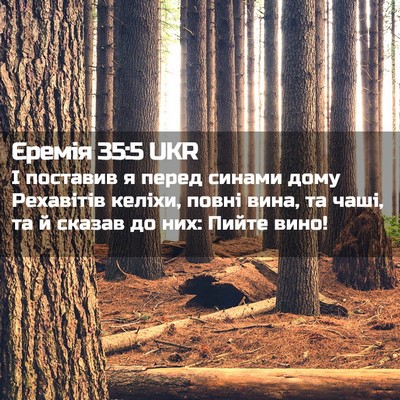 Picture 02 - Єремія 35:5 UKR - І поставив я перед синами - Bible Verse Picture