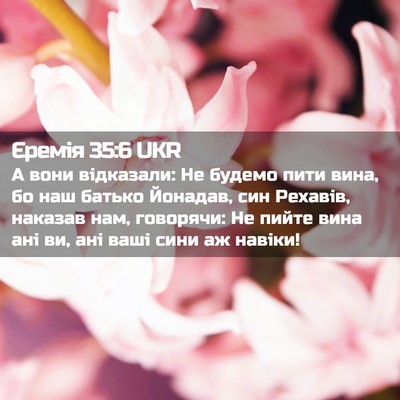 Picture 02 - Єремія 35:6 UKR - А вони відказали: Не будемо - Bible Verse Picture
