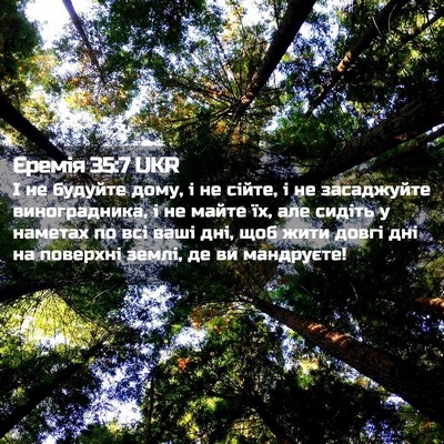 Picture 02 - Єремія 35:7 UKR - І не будуйте дому, і не - Bible Verse Picture