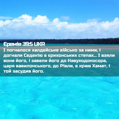 Picture 02 - Єремія 39:5 UKR - І погналося халдейське - Bible Verse Picture