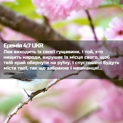 Picture 02 - Єремія 4:7 UKR - Лев виходить із своєї - Bible Verse Picture