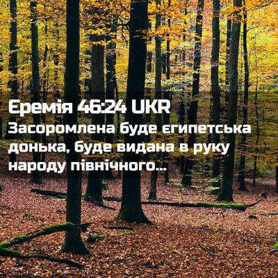 Picture 02 - Єремія 46:24 UKR - Засоромлена буде - Bible Verse Picture