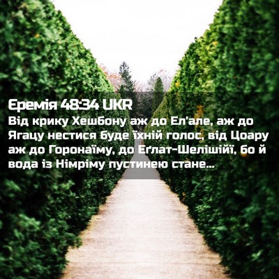 Picture 02 - Єремія 48:34 UKR - Від крику Хешбону аж до - Bible Verse Picture