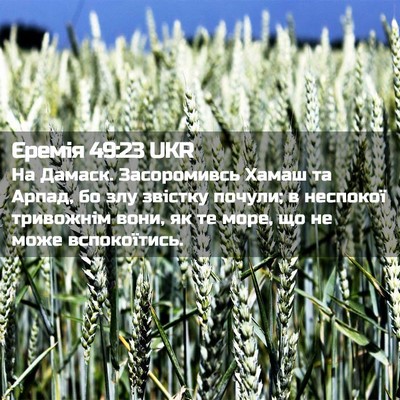 Picture 02 - Єремія 49:23 UKR - На Дамаск. Засоромивсь - Bible Verse Picture