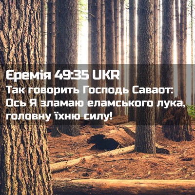 Picture 02 - Єремія 49:35 UKR - Так говорить Господь - Bible Verse Picture