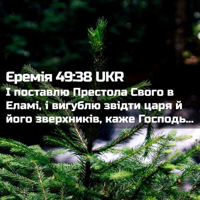 Picture 02 - Єремія 49:38 UKR - І поставлю Престола Свого - Bible Verse Picture