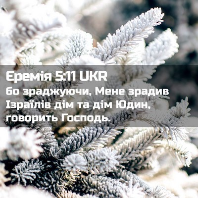 Picture 02 - Єремія 5:11 UKR - бо зраджуючи, Мене зрадив - Bible Verse Picture