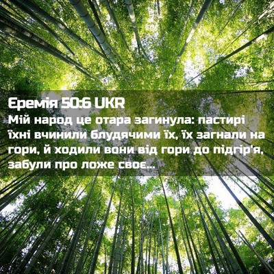 Picture 02 - Єремія 50:6 UKR - Мій народ це отара - Bible Verse Picture