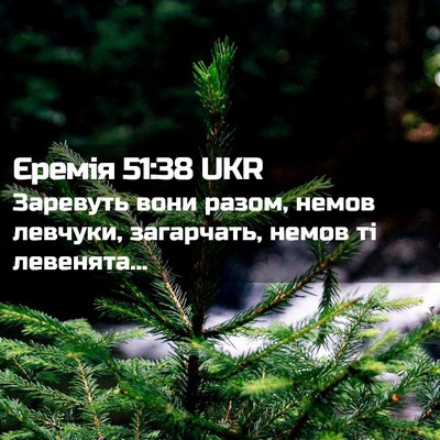 Picture 02 - Єремія 51:38 UKR - Заревуть вони разом, немов - Bible Verse Picture