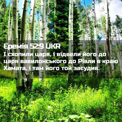 Picture 02 - Єремія 52:9 UKR - І схопили царя, і відвели - Bible Verse Picture