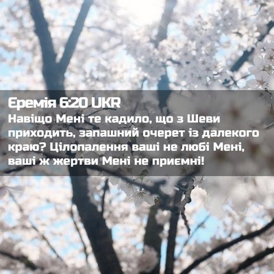 Picture 02 - Єремія 6:20 UKR - Навіщо Мені те кадило, що з - Bible Verse Picture