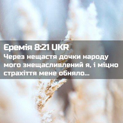 Picture 02 - Єремія 8:21 UKR - Через нещастя дочки народу - Bible Verse Picture