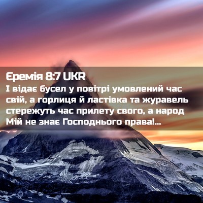 Picture 02 - Єремія 8:7 UKR - І відає бусел у повітрі - Bible Verse Picture