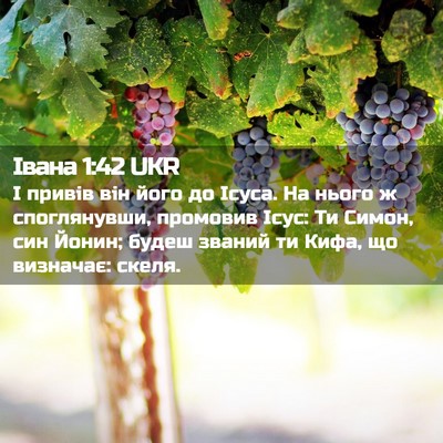 Picture 02 - Івана 1:42 UKR - І привів він його до Ісуса. - Bible Verse Picture