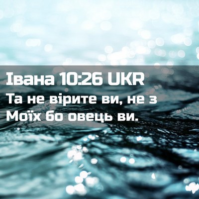 Picture 02 - Івана 10:26 UKR - Та не вірите ви, не з Моїх - Bible Verse Picture