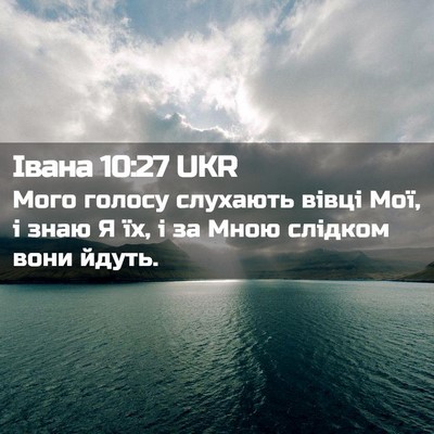 Picture 02 - Івана 10:27 UKR - Мого голосу слухають вівці - Bible Verse Picture