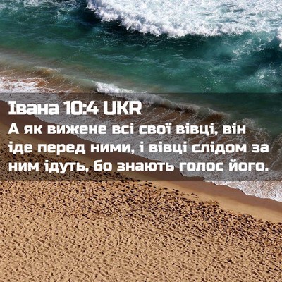 Picture 02 - Івана 10:4 UKR - А як вижене всі свої вівці, - Bible Verse Picture