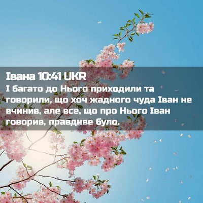 Picture 02 - Івана 10:41 UKR - І багато до Нього - Bible Verse Picture