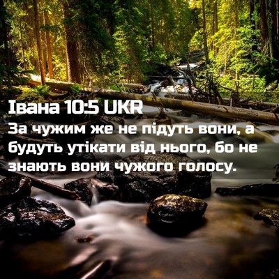 Picture 02 - Івана 10:5 UKR - За чужим же не підуть вони, - Bible Verse Picture