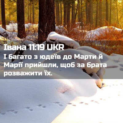 Picture 02 - Івана 11:19 UKR - І багато з юдеїв до Марти й - Bible Verse Picture