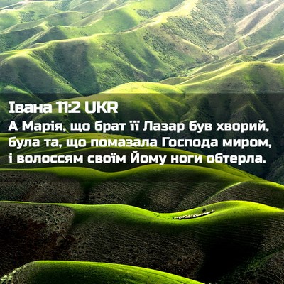 Picture 02 - Івана 11:2 UKR - А Марія, що брат її Лазар - Bible Verse Picture
