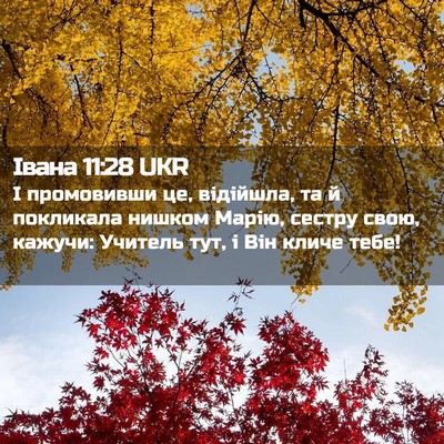 Picture 02 - Івана 11:28 UKR - І промовивши це, відійшла, - Bible Verse Picture