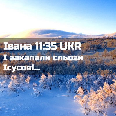 Picture 02 - Івана 11:35 UKR - І закапали сльози - Bible Verse Picture