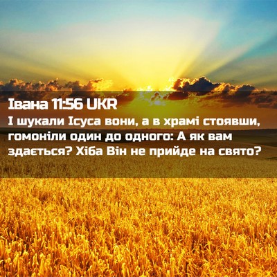 Picture 02 - Івана 11:56 UKR - І шукали Ісуса вони, а в - Bible Verse Picture
