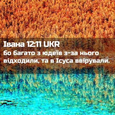 Picture 02 - Івана 12:11 UKR - бо багато з юдеїв з-за - Bible Verse Picture