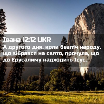 Picture 02 - Івана 12:12 UKR - А другого дня, коли безліч - Bible Verse Picture
