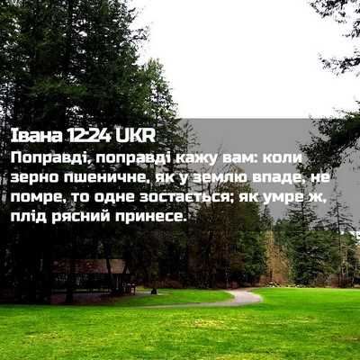Picture 02 - Івана 12:24 UKR - Поправді, поправді кажу - Bible Verse Picture