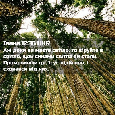 Picture 02 - Івана 12:36 UKR - Аж доки ви маєте світло, то - Bible Verse Picture