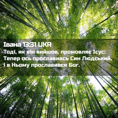 Picture 02 - Івана 13:31 UKR - Тоді, як він вийшов, - Bible Verse Picture