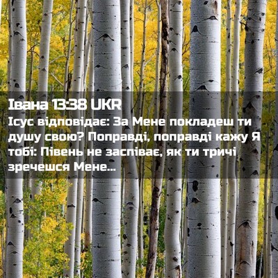 Picture 02 - Івана 13:38 UKR - Ісус відповідає: За Мене - Bible Verse Picture