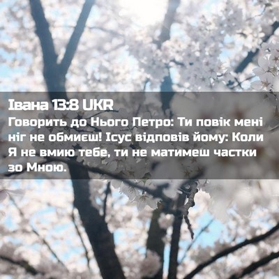 Picture 02 - Івана 13:8 UKR - Говорить до Нього Петро: Ти - Bible Verse Picture