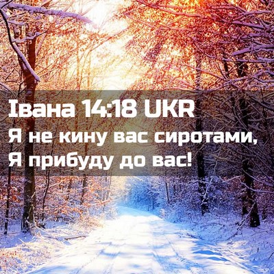 Picture 02 - Івана 14:18 UKR - Я не кину вас сиротами, Я - Bible Verse Picture