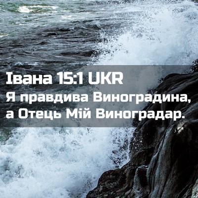 Picture 02 - Івана 15:1 UKR - Я правдива Виноградина, а - Bible Verse Picture