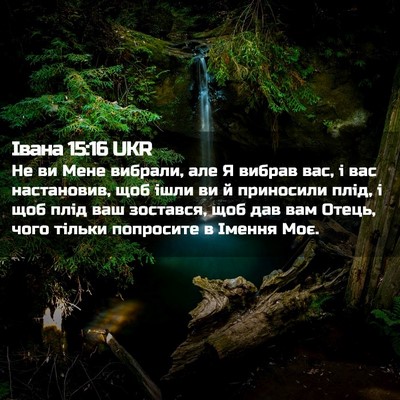 Picture 02 - Івана 15:16 UKR - Не ви Мене вибрали, але Я - Bible Verse Picture