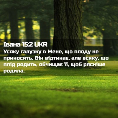 Picture 02 - Івана 15:2 UKR - Усяку галузку в Мене, що - Bible Verse Picture