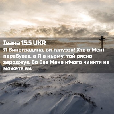 Picture 02 - Івана 15:5 UKR - Я Виноградина, ви галуззя! - Bible Verse Picture