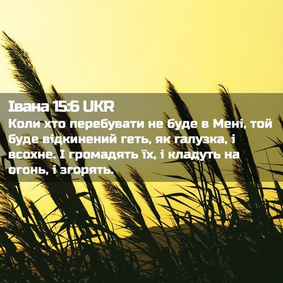 Picture 02 - Івана 15:6 UKR - Коли хто перебувати не - Bible Verse Picture