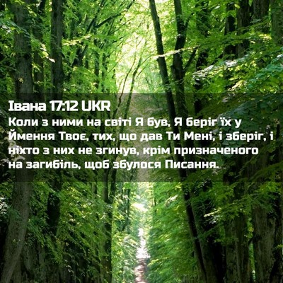 Picture 02 - Івана 17:12 UKR - Коли з ними на світі Я був, - Bible Verse Picture