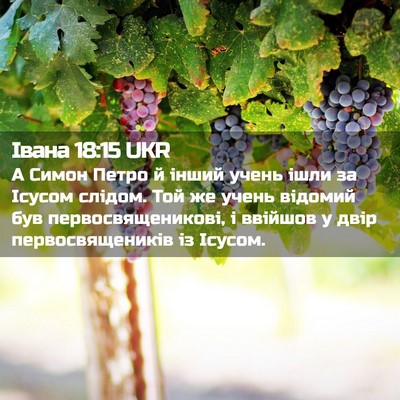 Picture 02 - Івана 18:15 UKR - А Симон Петро й інший учень - Bible Verse Picture