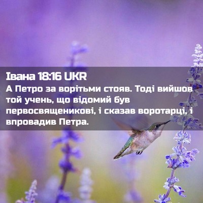 Picture 02 - Івана 18:16 UKR - А Петро за ворітьми стояв. - Bible Verse Picture