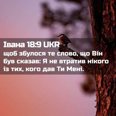 Picture 02 - Івана 18:9 UKR - щоб збулося те слово, що - Bible Verse Picture